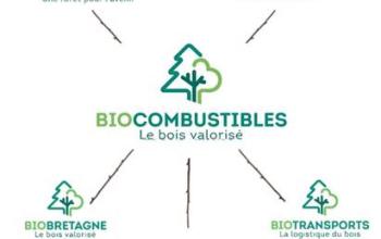 Biocombustible 1